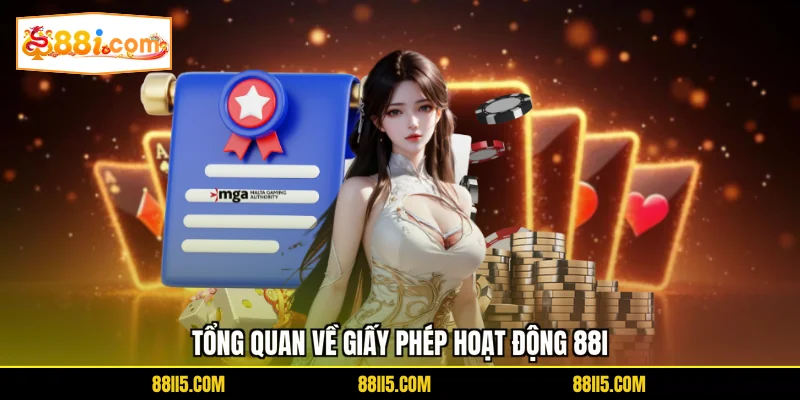 Tổng quan về giấy phép hoạt động 88I
