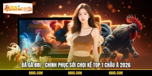 Đá Gà 88I - Chinh Phục Sới Chọi Kê TOP 1 Châu Á 2026